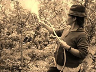 LA CULTURA DEL EMPRENDIMIENTO EAN 2012