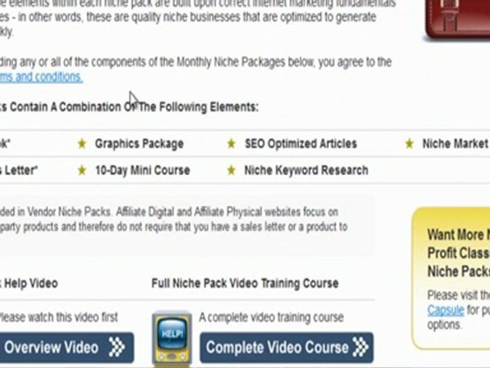 "online business systems reviews":is online business systems a scam