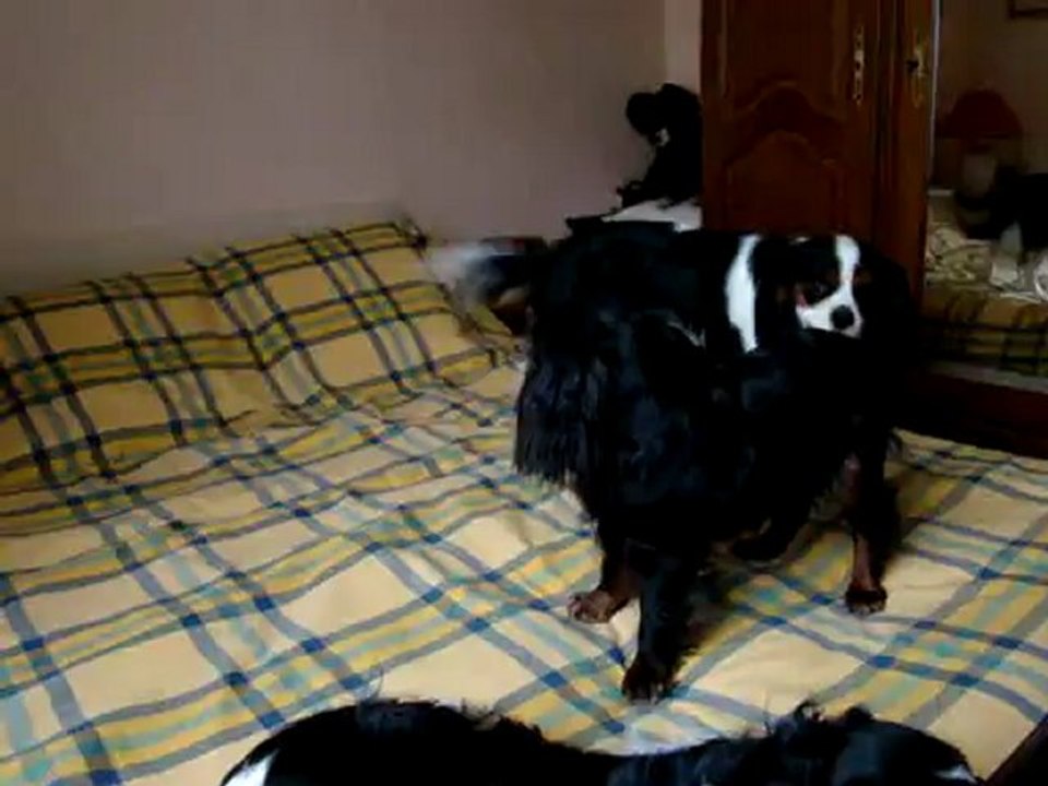 Gordon & Gaïa mai 2012