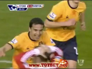 Сток Сити - Эвертон (1-1) 01.05.2012