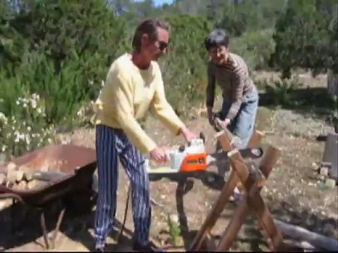 Sciage du bois Ibiza 2005