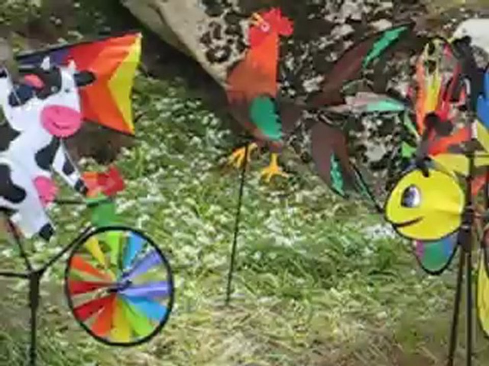 Du vent dans les ailes à Port Clos (Ile de Bréhat)