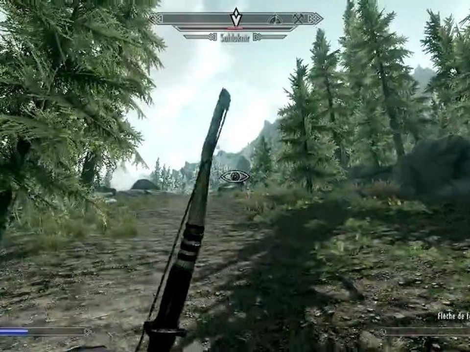 14) The Elder Scrolls V : Skyrim (PC) - Sahloknir