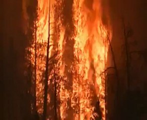 N.G | Doğal Parkın Kurtları | Bölüm (3/4)