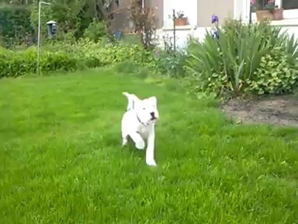 Hector 06052012