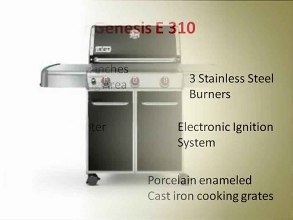 Top 10 Best Natural Gas Grills 2012