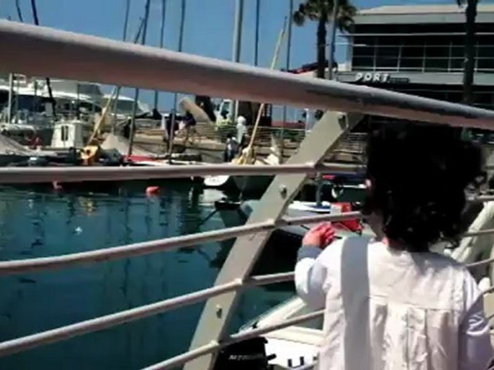 מיגנוט שיתופי פעולה וחברים