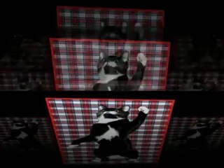 EK voetbal 2012 met Strik