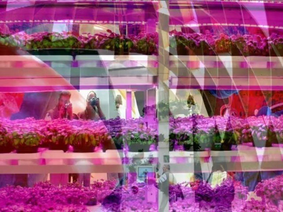 New01.mpg  FLORIADE  DIAPO  VENLO HOLLANDE MAI 2012