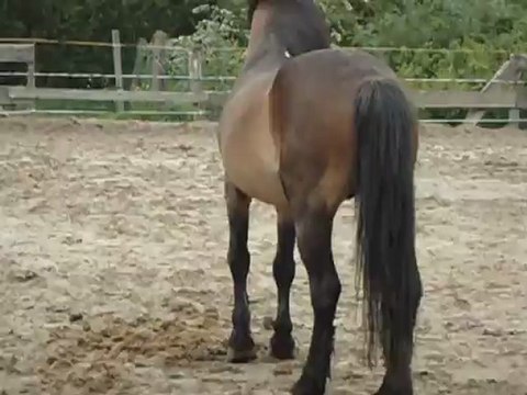 Calin dans toute sa splendeur !