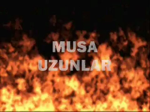 Без имени kvd