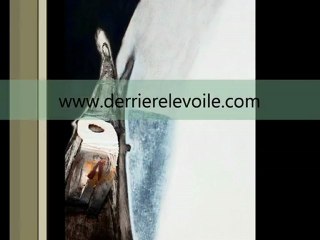 Bande annonce exposition en ligne derrière le voile