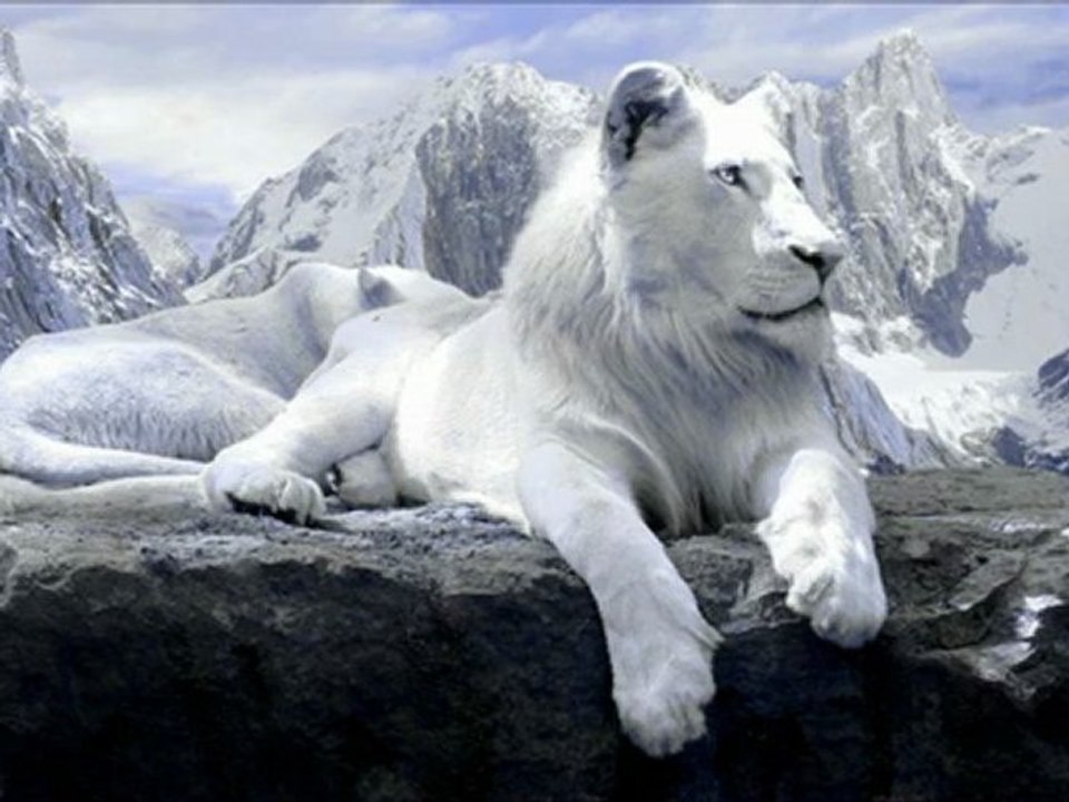 ►mohamed termoul - chant de kabylie ⵣ