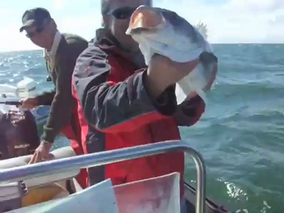 Pêche au bar 5 mai 2012