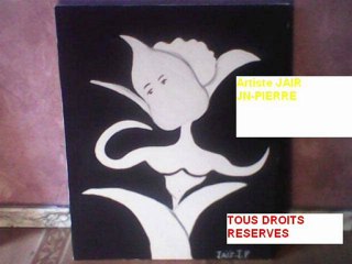 LE KITS ARTS-BOX DE JAIR JEAN PIERRE 12