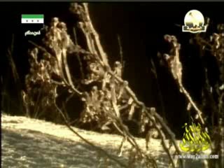 (عجائب الخلق) - عجائب الخلق