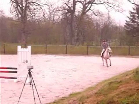 CSO LA RAMEE Mai 2012 - P4 HELLEBORE