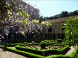 ABBAYE DE FONTFROIDE- AUDE