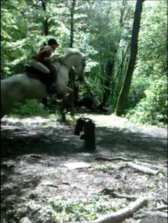 Crooooossss
