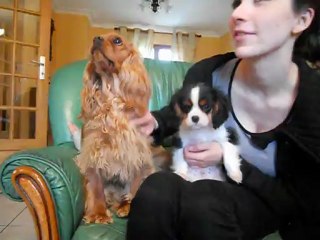 Avant que t'arrive c'était moi qui était sur les genoux