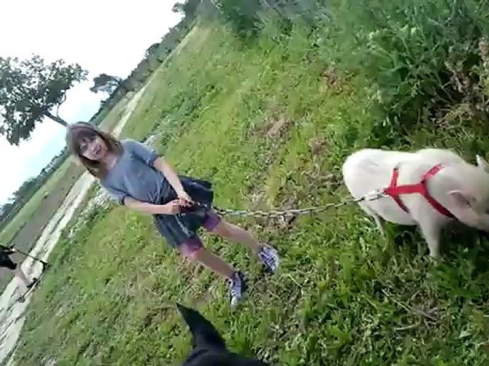 pascal terrain tetel