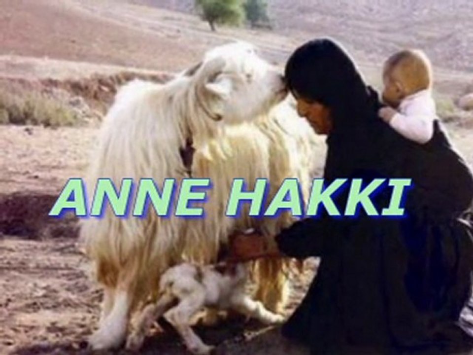 ANNE HAKKI