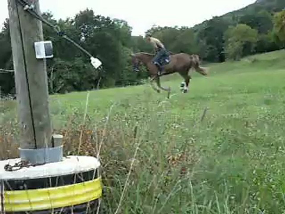 Bijou au galop