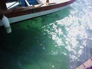 5 Mayıs Mordoğan liman video