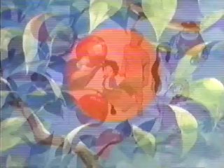 La Despothèque - Aventures Divines: Adam et Ève