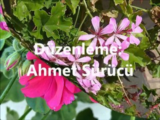 Ben böyle kadere isyan ederim