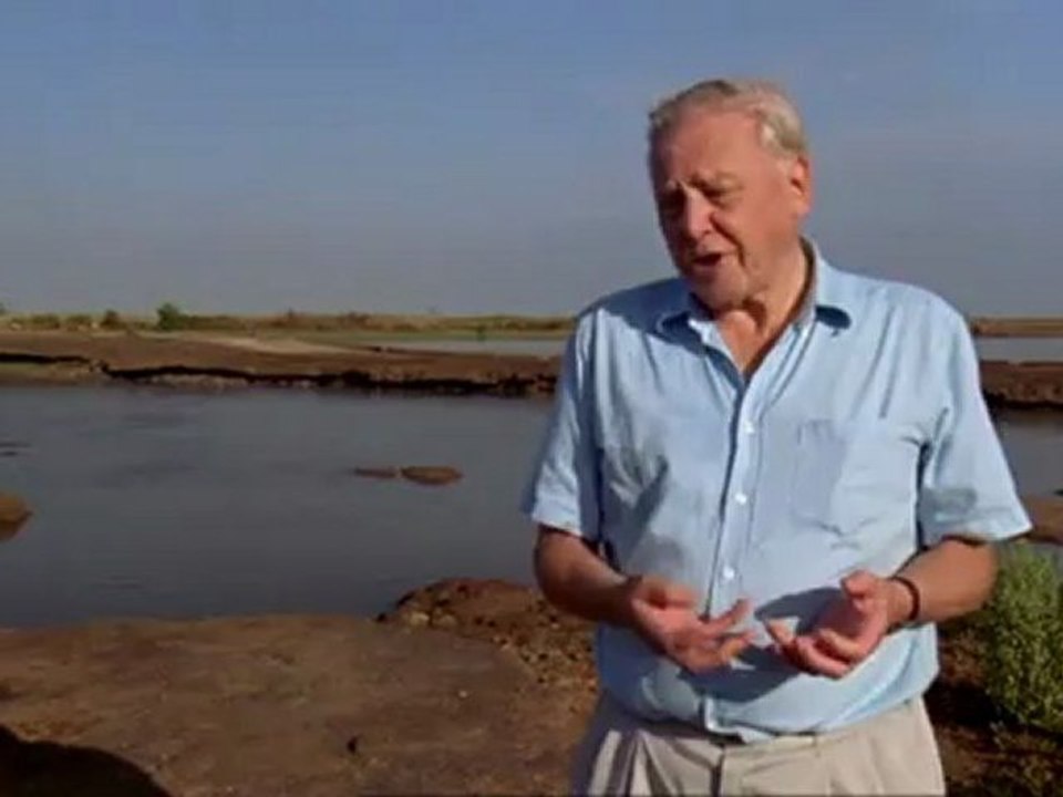 Élet hidegvérrel - David Attenborough 5/5