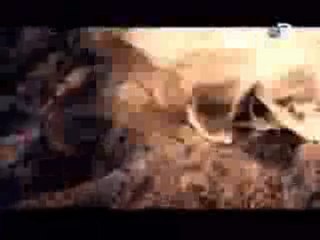 Apocalipsis Maya 1ra. Parte