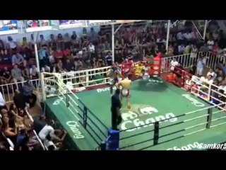 Damien ALAMOS Highlights