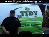 Santa Cruz Carpet Cleaning |Carpet Cleaners in Santa Cruz California