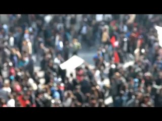 Money Does Grow on Trees TV