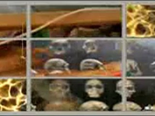 FOSİLLER "EVRİM YALAN" DİYOR