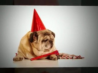 Get More Web Site Traffic