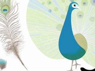 Plume, par Isabelle Simler, Editions courtes et longues