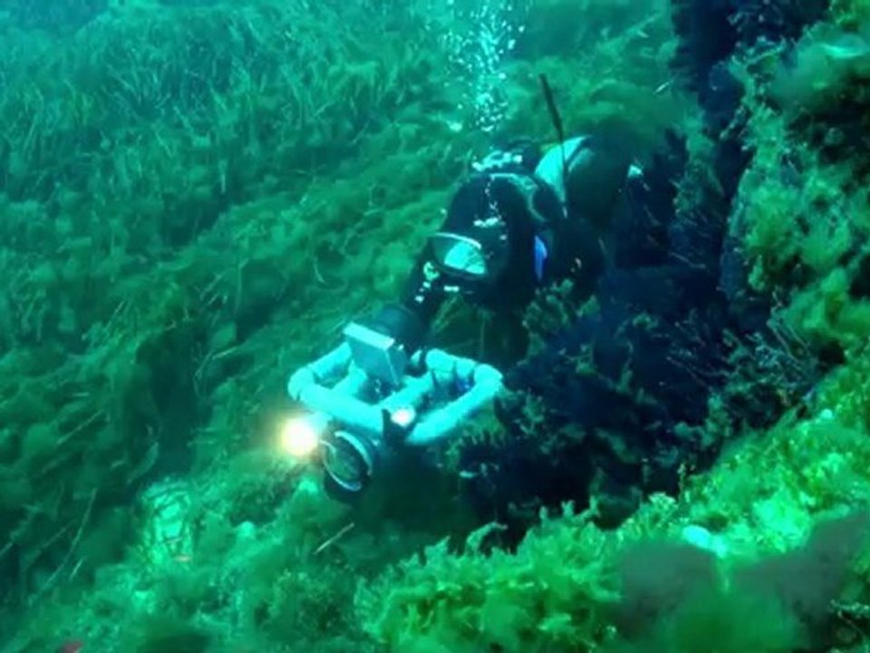 Albert Falco juillet 2011 Parc National de Port Cros