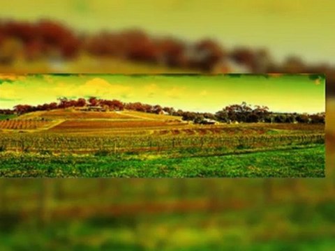 liquid plant nutrition Australia, liquid fertilizer, liquid fertiliser, liquid nutrition Australia, organic liquid fertilizer Australia