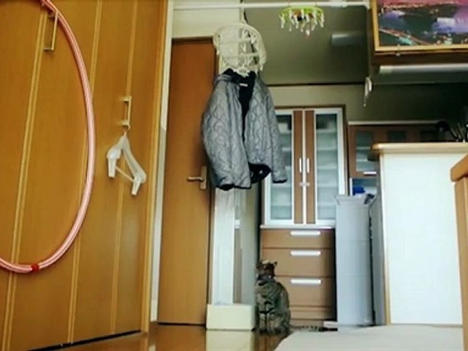 Saut du chat très haut