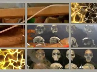 FOSİLLER "EVRİM YALAN" DİYOR