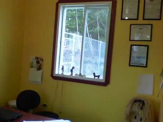 Visite de ma garderie