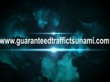 Free Website Traffic - Guaranteed Traffic Tsunami