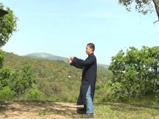 ZHI NENG QI GONG Great horse stand