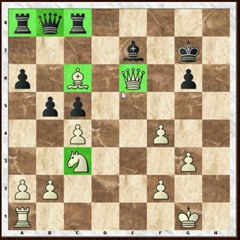 Chess: Karpov vs Topalov 1994 (Immortal)