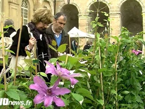 FETES DE PLANTES DE LA ROCHE GUYON