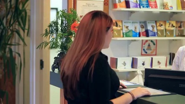 Veterinarian Amherst Niagara Falls Niagara Falls Animal ...