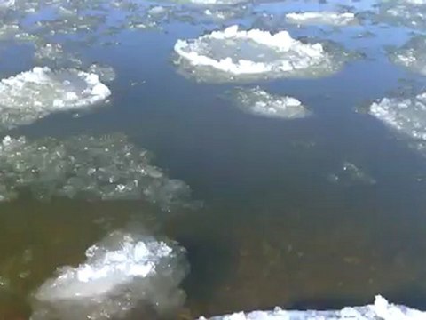 loire Candes-Saint-Martin