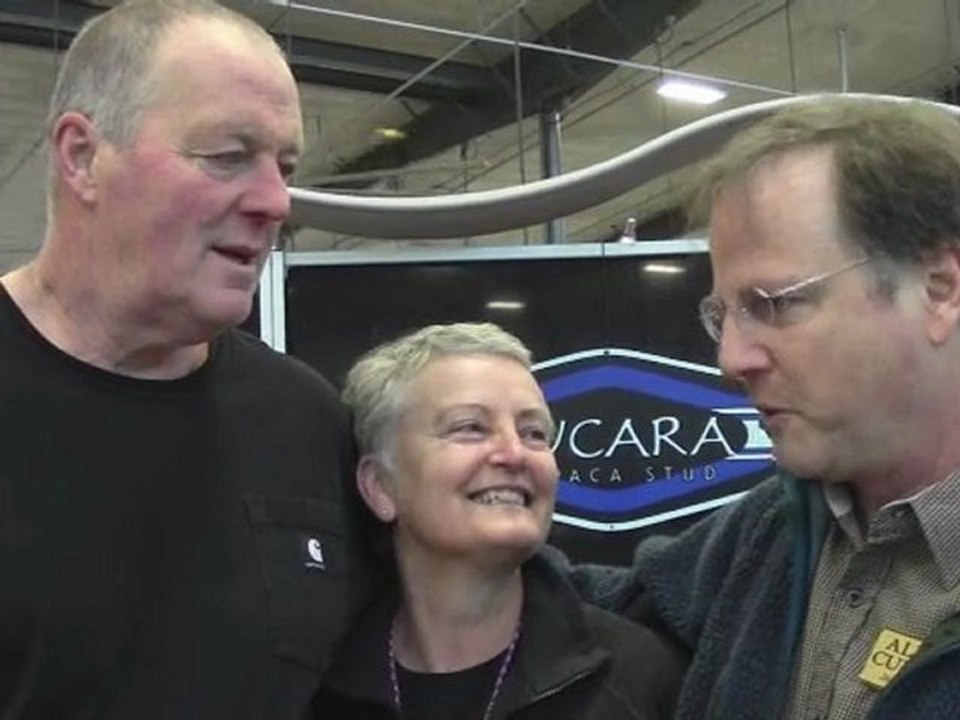 Suri Get of Sire 2012 Alpaca Futurity